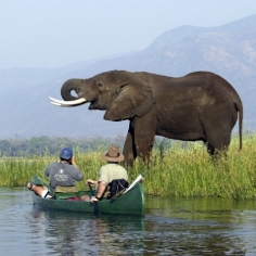 The source of the Photo: “Wilderness Safaris, canoeing along the Zambezi River” (http://www.encompassafrica.com.au/gallery.asp?gid=3)