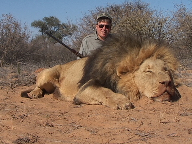 Killed Lion