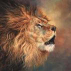 lion-roar-profile-david-stribbling